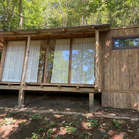 Suxen Nature Experience - Lodge Con Vista Panoramica Prepotto  Экстерьер фото