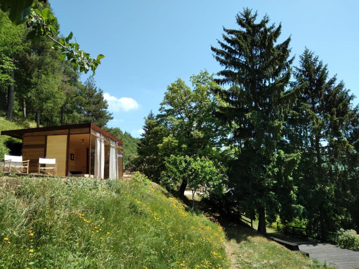 Suxen Nature Experience - Lodge Con Vista Panoramica Prepotto  Экстерьер фото